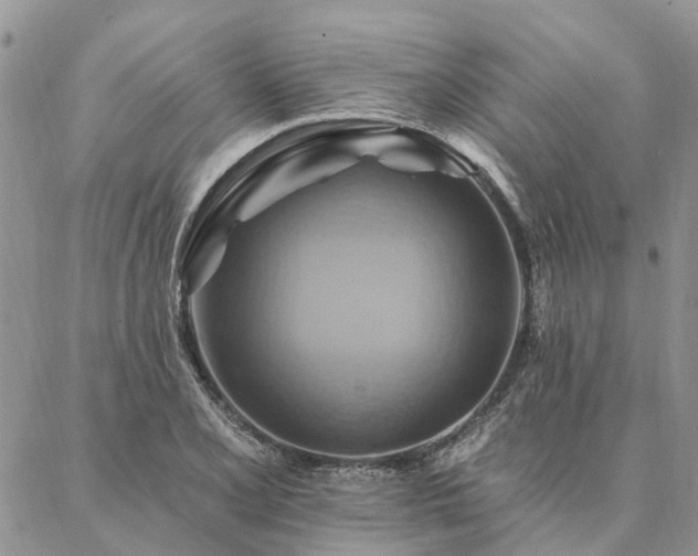 X0000087351077200704201116