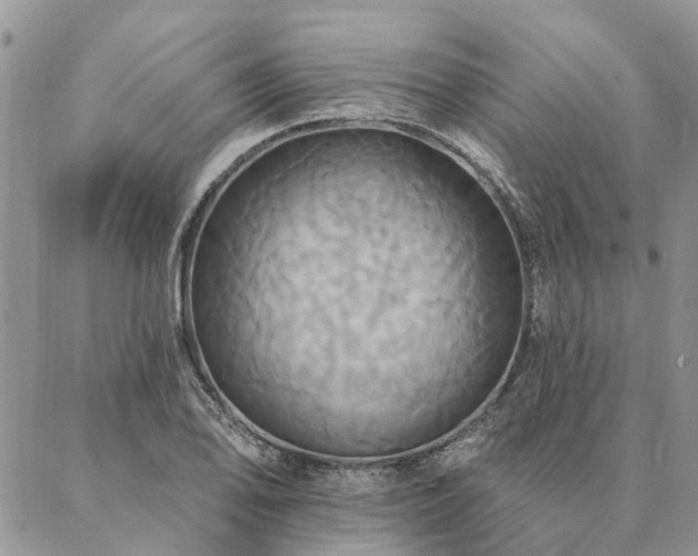 X0000087351078200704201116