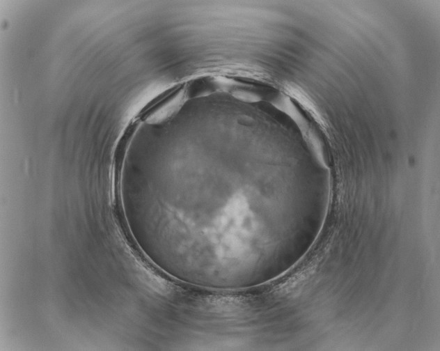 X0000087351079200704201116