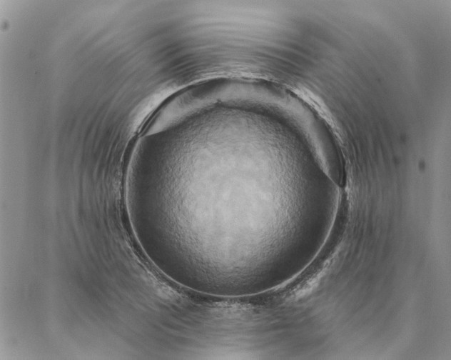 X0000087351081200704201116