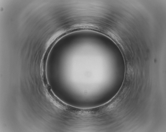 X0000087351082200704201116