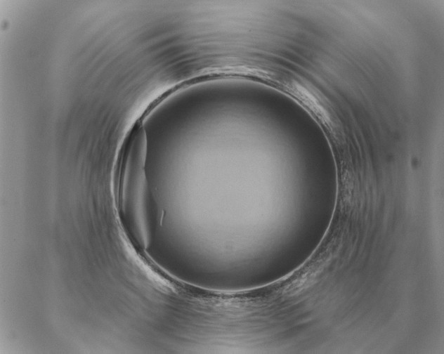X0000087351084200704201116