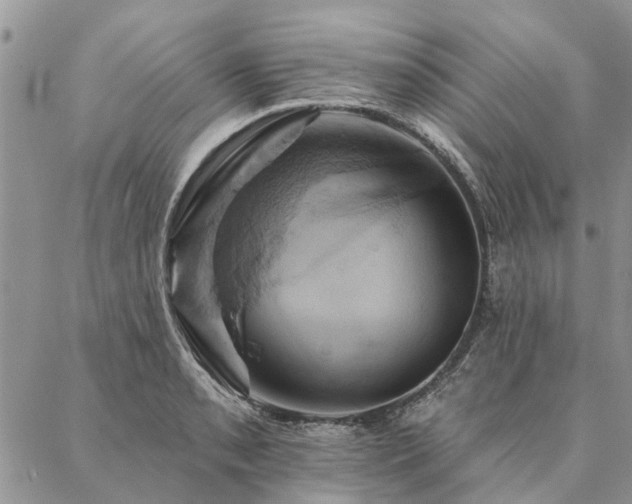 X0000087351085200704201116