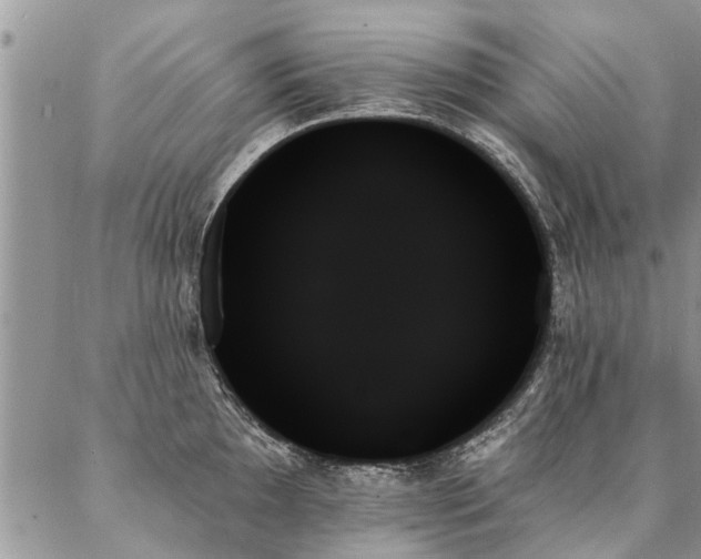 X0000087351097200704201116