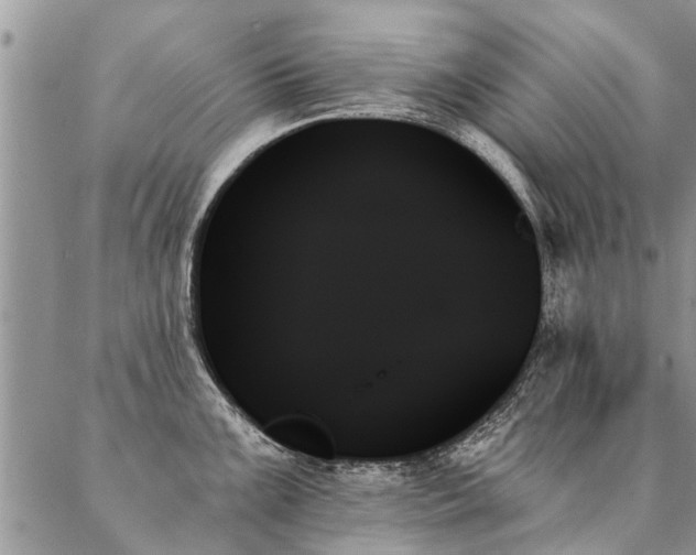 X0000087351099200704201116