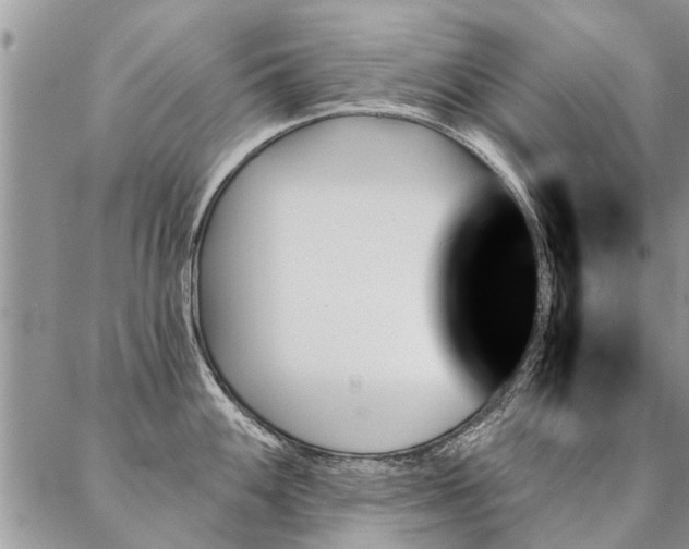 X0000087351100200704201116