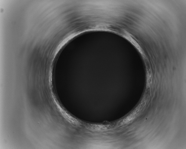 X0000087351101200704201116