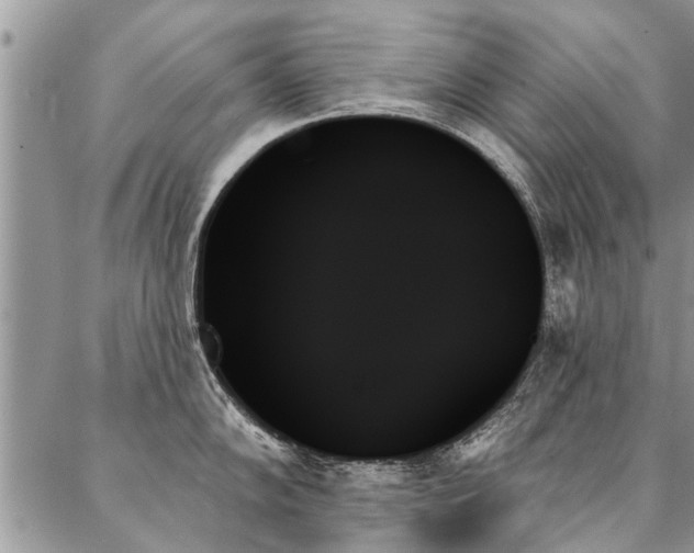 X0000087351102200704201116