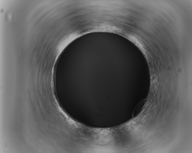 X0000087351103200704201116