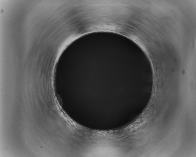 X0000087351104200704201116