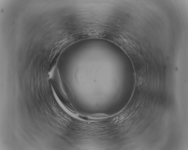 X0000087351106200704201115
