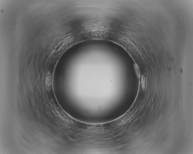 X0000087351107200704201115