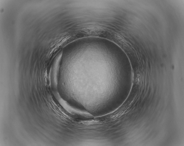 X0000087351108200704201115