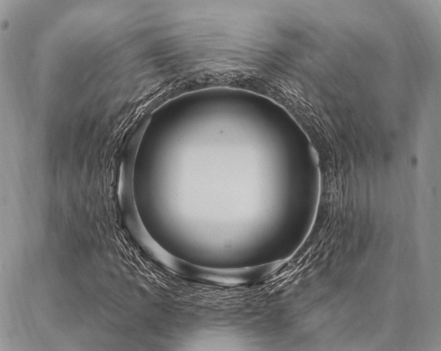 X0000087351109200704201115