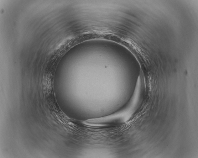 X0000087351110200704201115