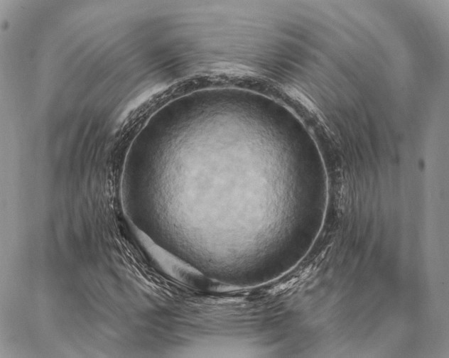 X0000087351112200704201115