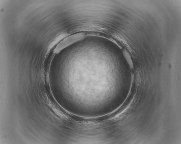 X0000087351114200704201115