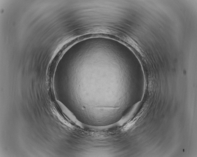 X0000087351116200704201115