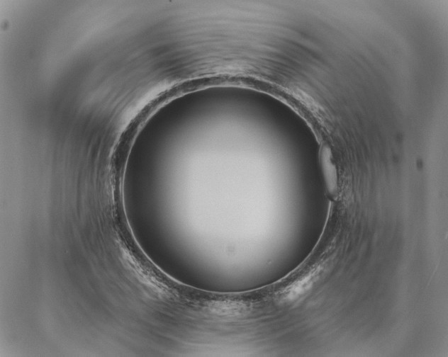 X0000087351118200704201115