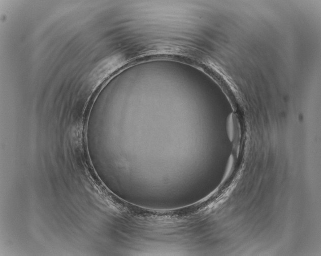 X0000087351121200704201115