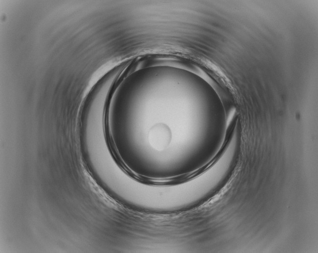 X0000087351122200704201115