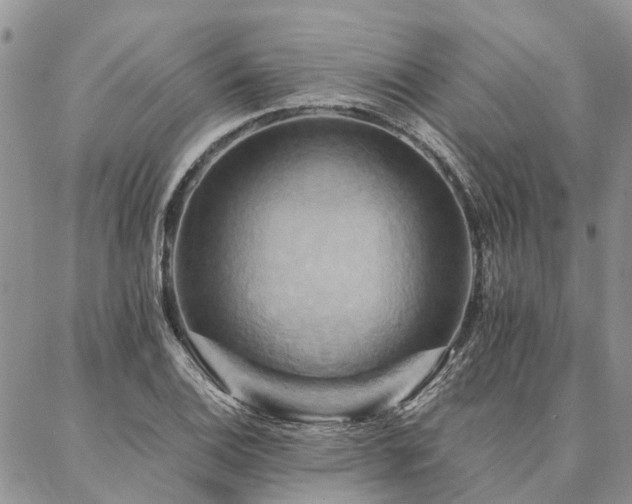 X0000087351124200704201115