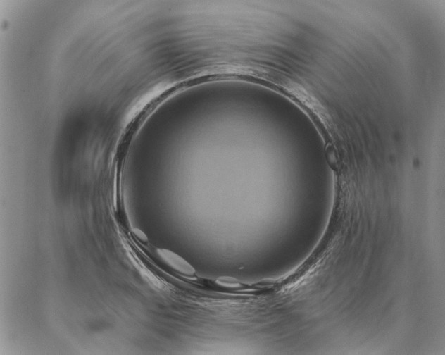 X0000087351127200704201115