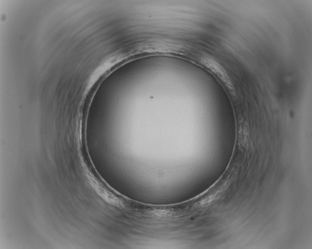 X0000087351130200704201115