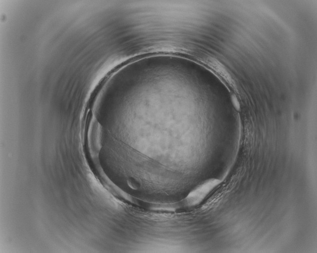 X0000087351132200704201115
