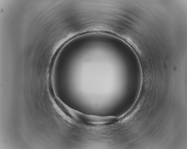 X0000087351134200704201115