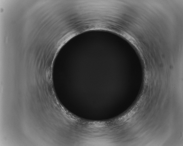 X0000087351145200704201115