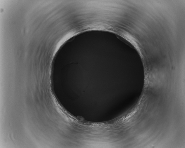 X0000087351146200704201116