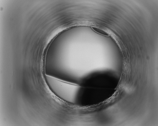 X0000087351147200704201116