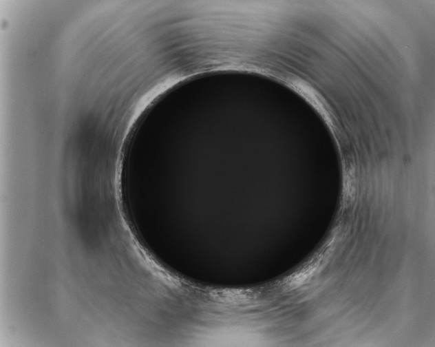 X0000087351149200704201116