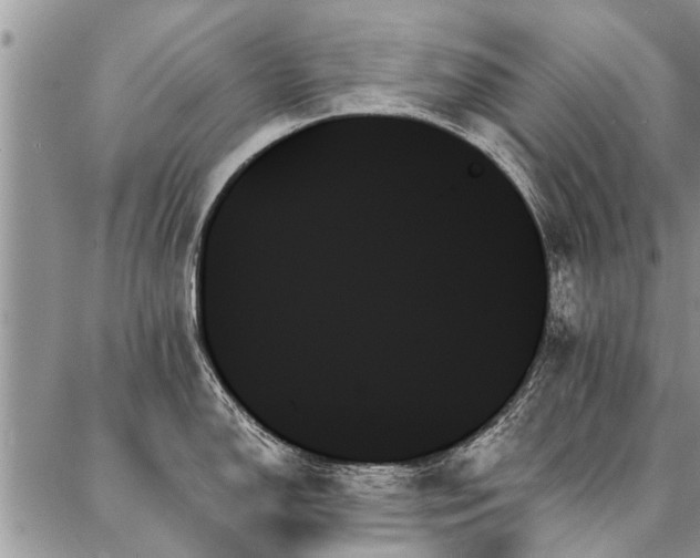 X0000087351150200704201116