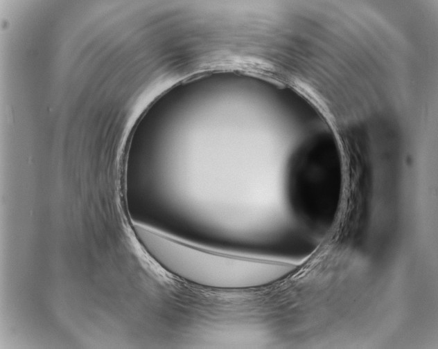 X0000087351152200704201116