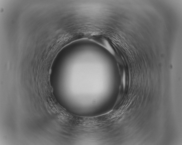 X0000087351153200704201115