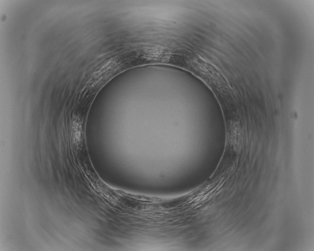 X0000087351154200704201115
