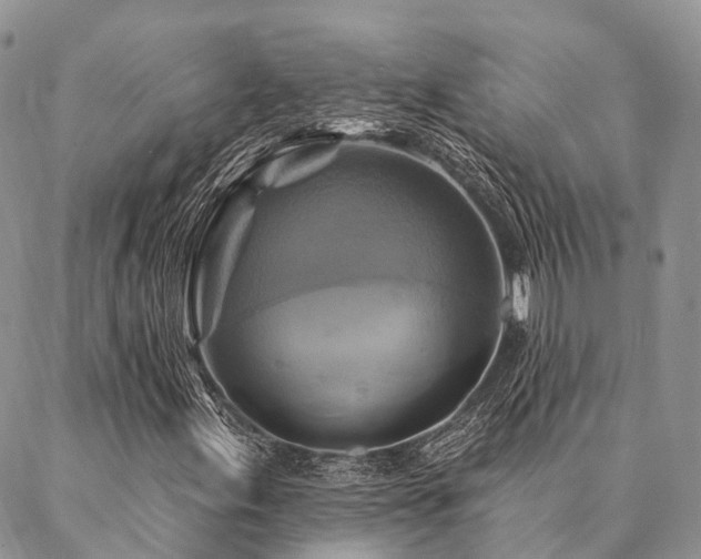 X0000087351155200704201115