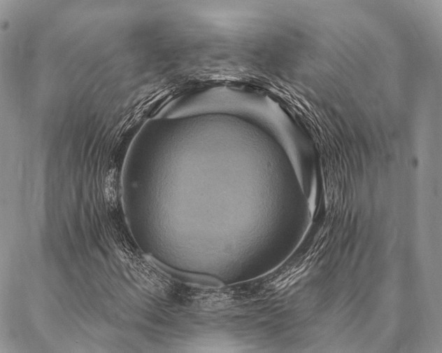 X0000087351156200704201115