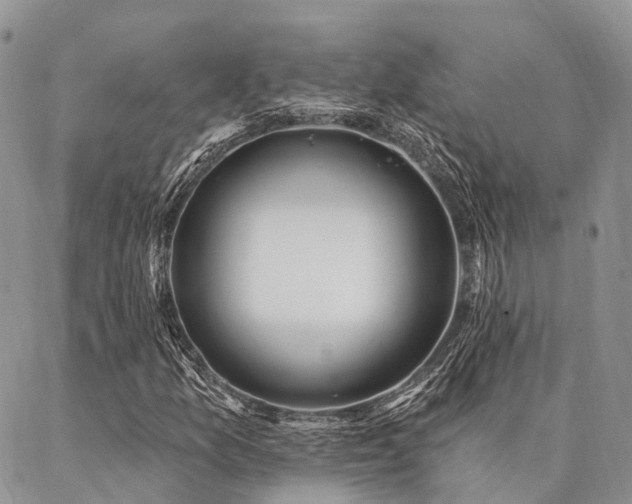 X0000087351157200704201115