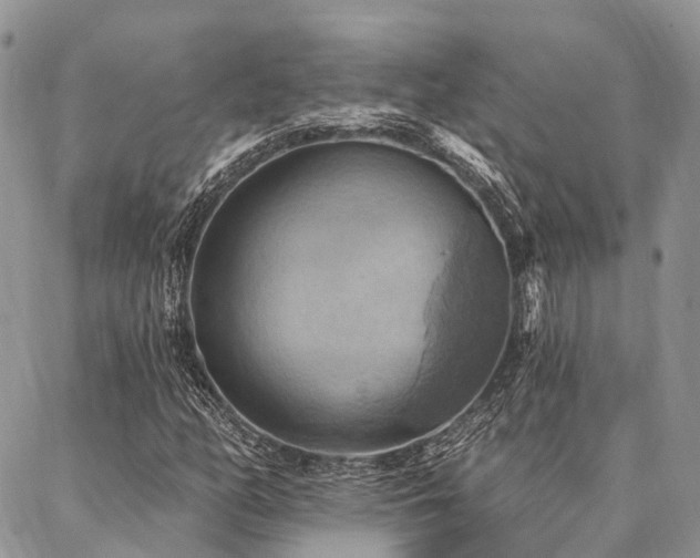 X0000087351158200704201115