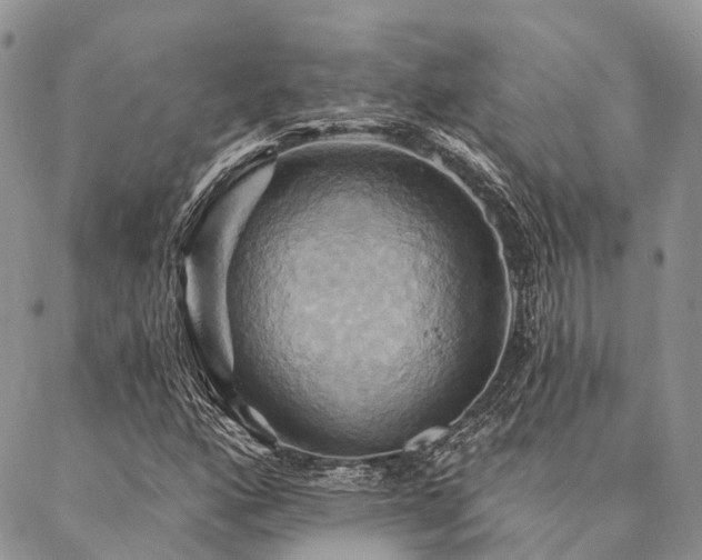 X0000087351160200704201115
