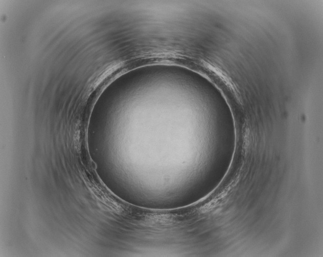 X0000087351162200704201115