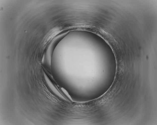 X0000087351169200704201115