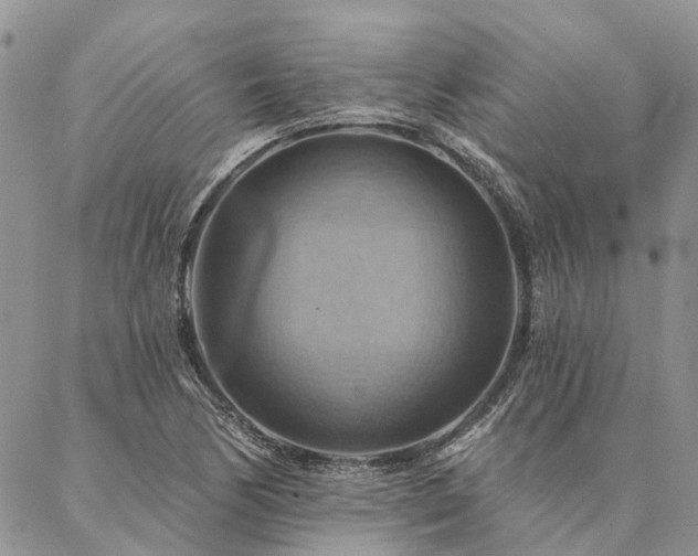 X0000087351170200704201115