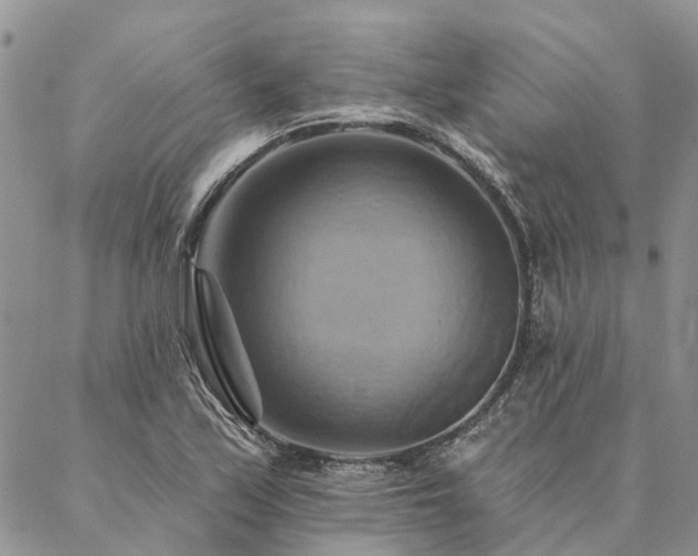 X0000087351171200704201115