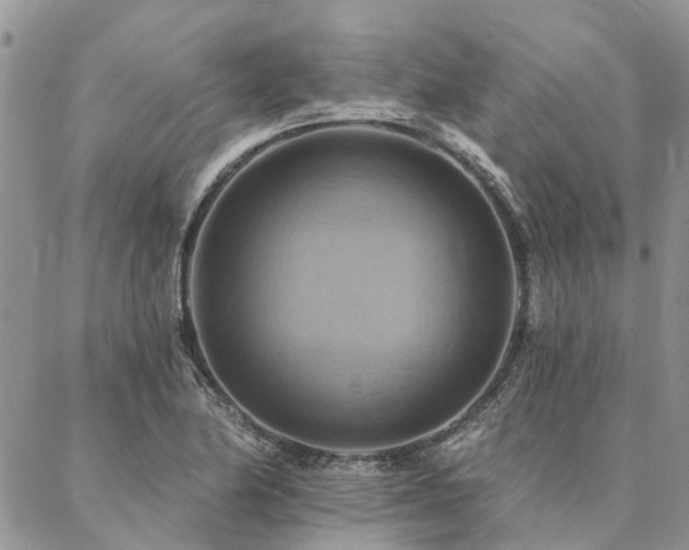 X0000087351174200704201114