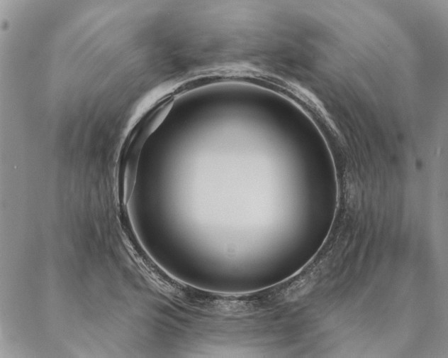X0000087351176200704201114