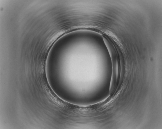 X0000087351177200704201114